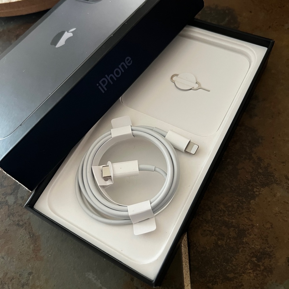 IPhone 13 Pro Max (BOX & CHARGER)
